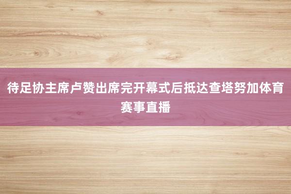 待足协主席卢赞出席完开幕式后抵达查塔努加体育赛事直播