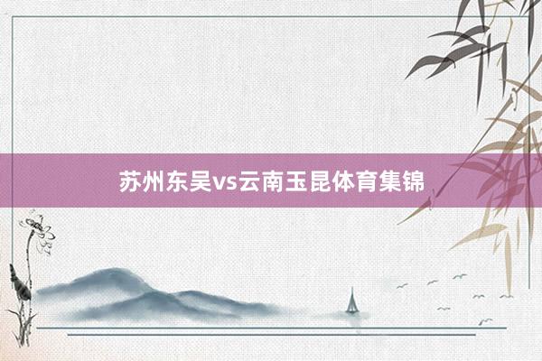苏州东吴vs云南玉昆体育集锦